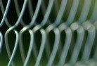 Dee Whymesh-fencing-7.jpg; ?>